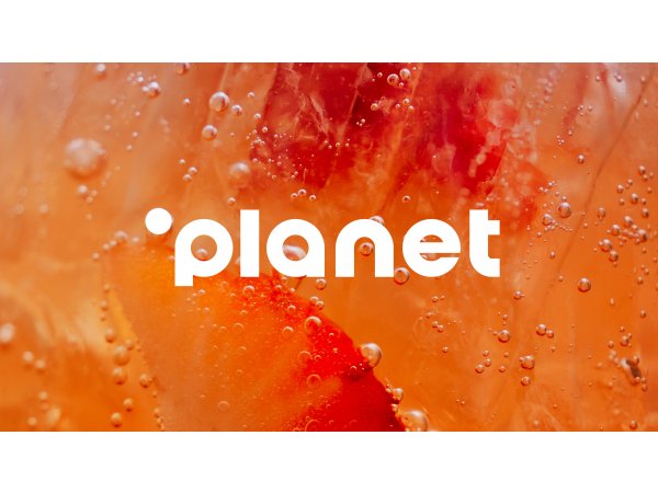 Service Delivery Manager